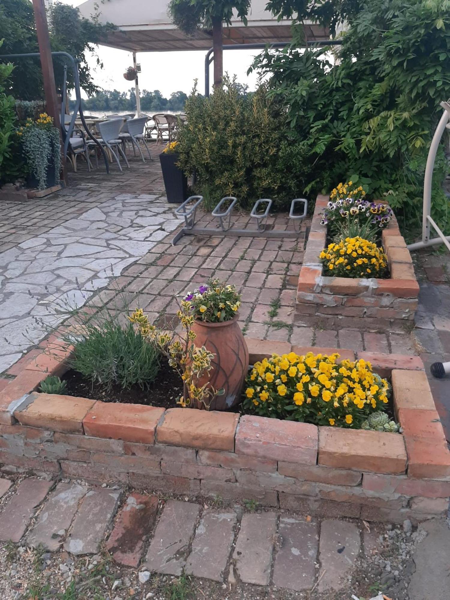 River Hostel Beograd Bagian luar foto