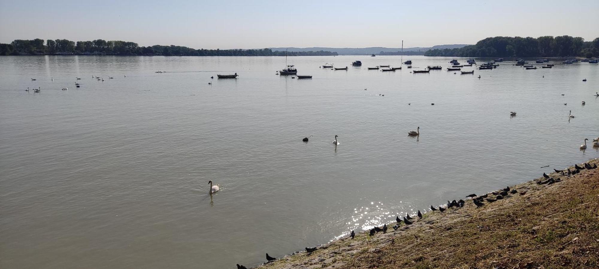 River Hostel Beograd Bagian luar foto